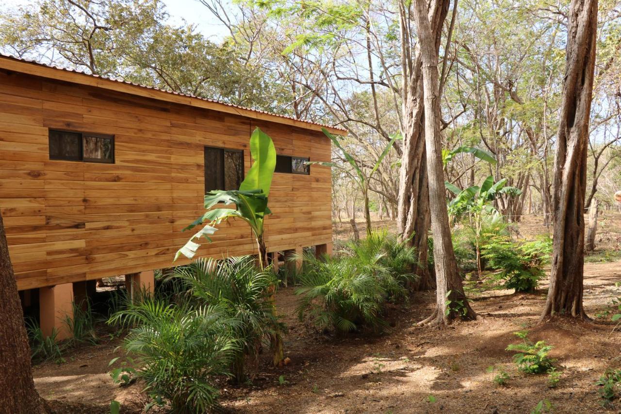 Casa Natural Brasilito Ngoại thất bức ảnh